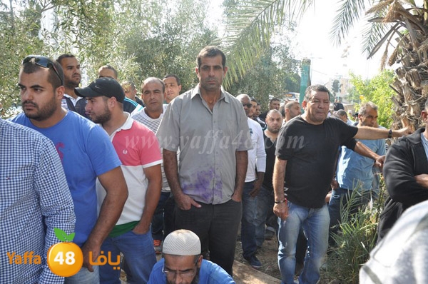 Janza yosef 3obra (7).JPG